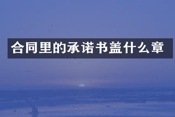 合同里的承诺书盖什么章