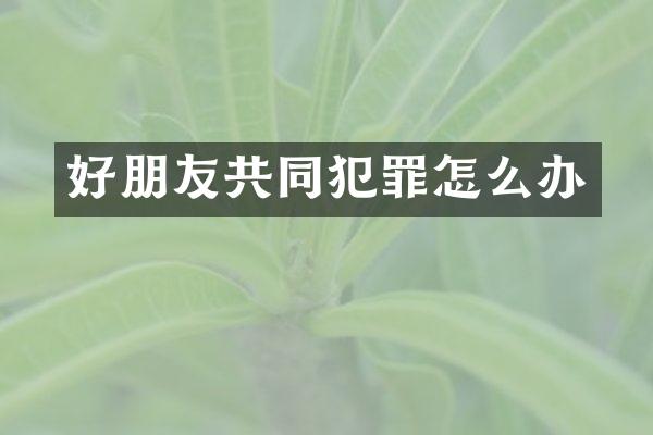 好朋友共同犯罪怎么办