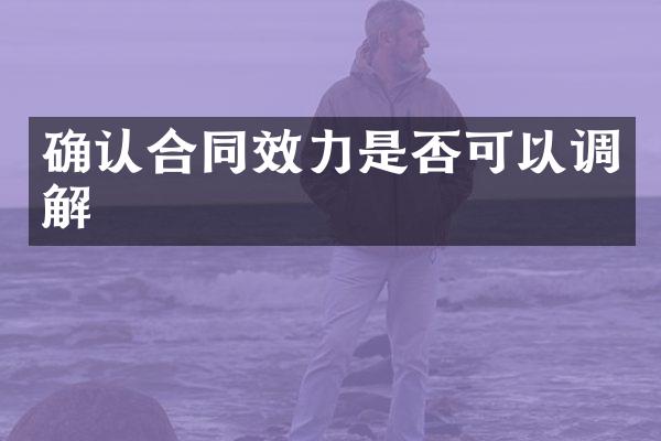 确认合同效力是否可以调解