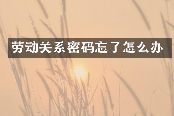 劳动关系密码忘了怎么办