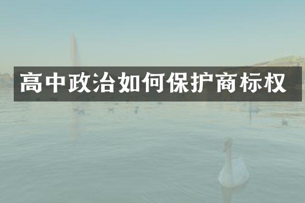 高中政治如何保护商标权