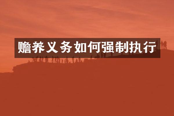 赡养义务如何强制执行