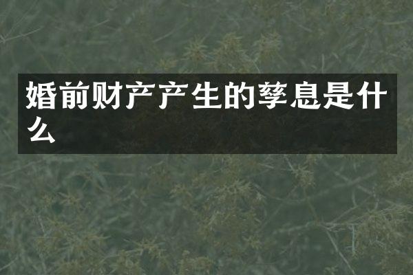 婚前财产产生的孳息是什么