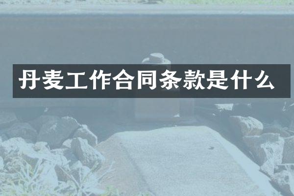 丹麦工作合同条款是什么