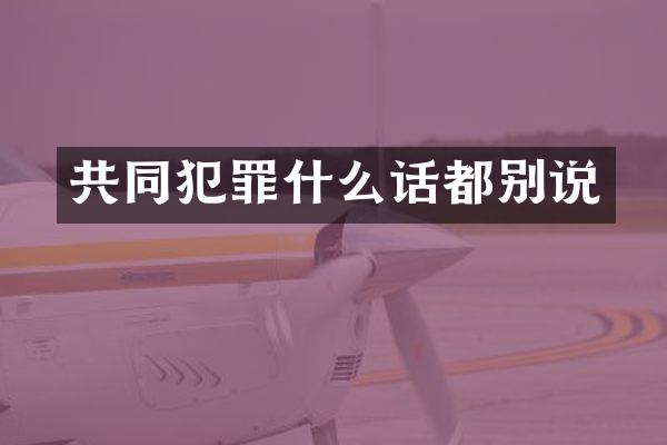 共同犯罪什么话都别说