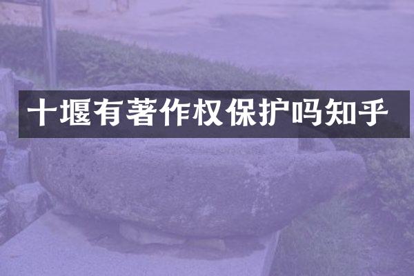 十堰有著作权保护吗知乎