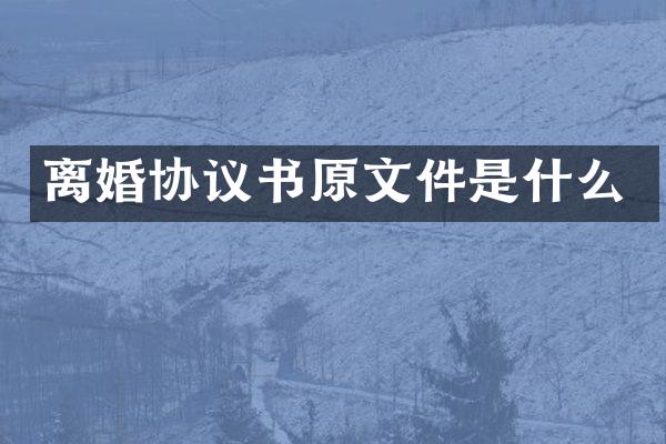 离婚协议书原文件是什么