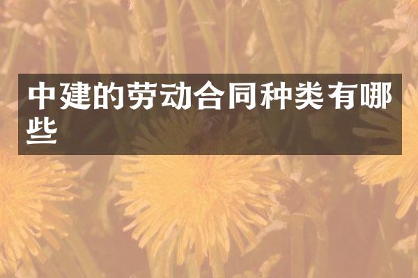 中建的劳动合同种类有哪些