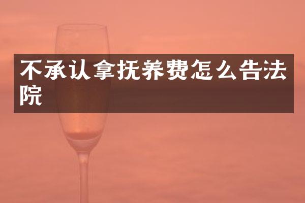 不承认拿抚养费怎么告法院