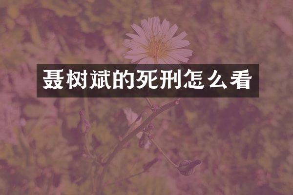 聂树斌的死刑怎么看