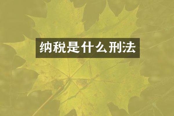 纳税是什么刑法