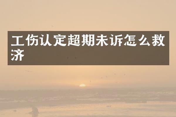 工伤认定超期未诉怎么救济