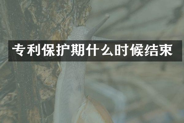 专利保护期什么时候结束