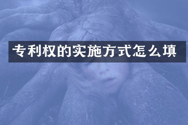 专利权的实施方式怎么填