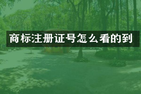 商标注册证号怎么看的到