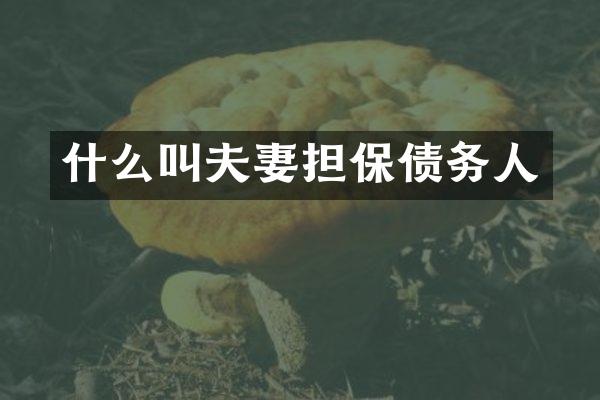 什么叫夫妻担保债务人
