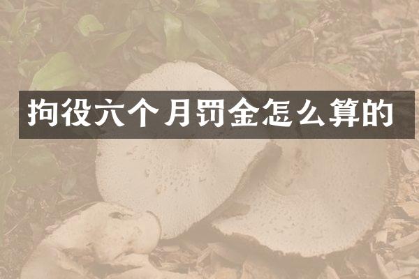 拘役六个月罚金怎么算的