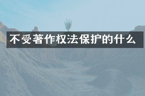 不受著作权法保护的什么