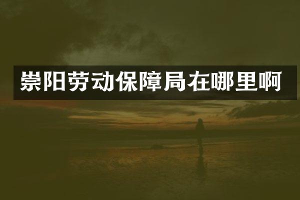 崇阳劳动保障局在哪里啊