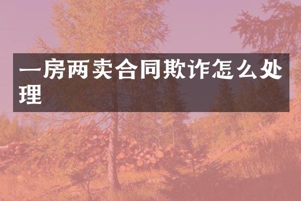 一房两卖合同欺诈怎么处理