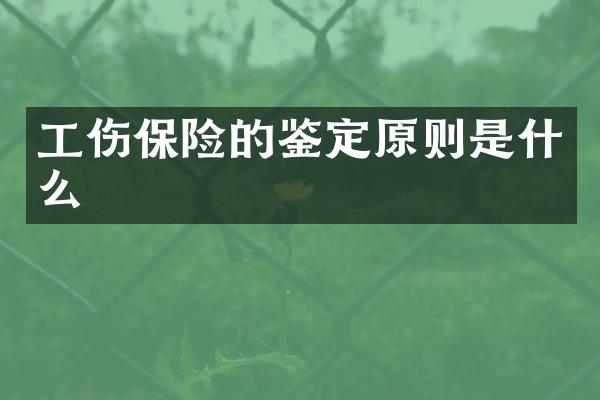 工伤保险的鉴定原则是什么