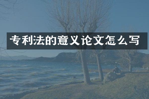 专利法的意义论文怎么写