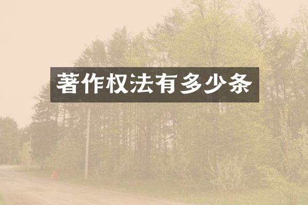 著作权法有多少条