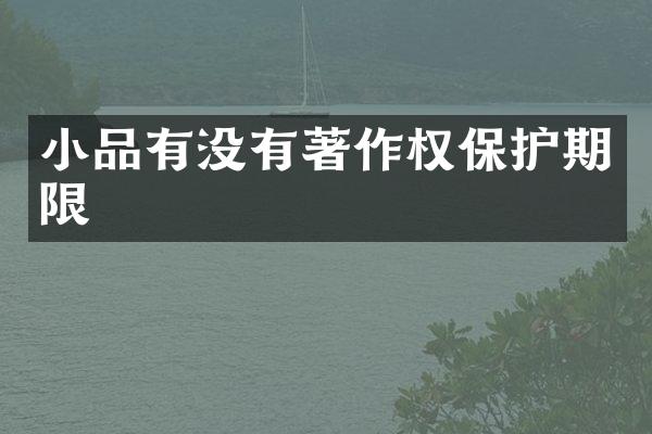 小品有没有著作权保护期限
