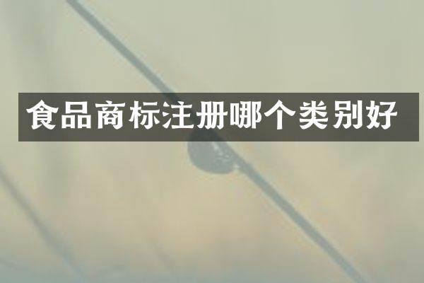 食品商标注册哪个类别好