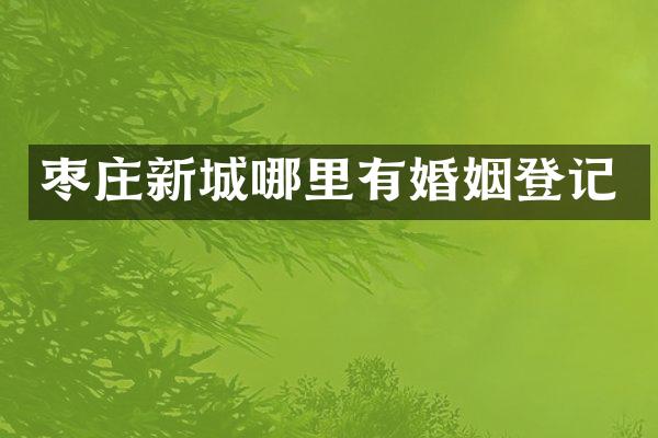 枣庄新城哪里有婚姻登记