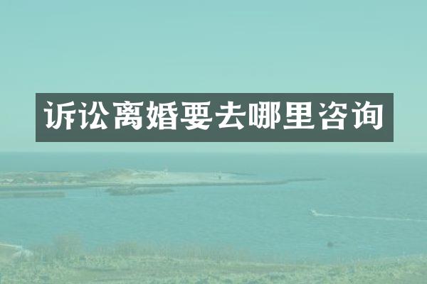 诉讼离婚要去哪里咨询