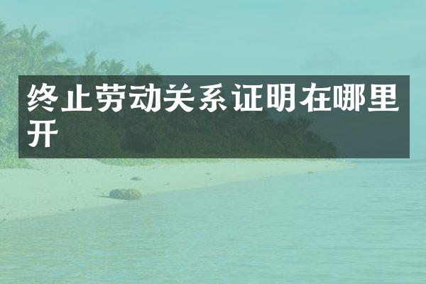 终止劳动关系证明在哪里开