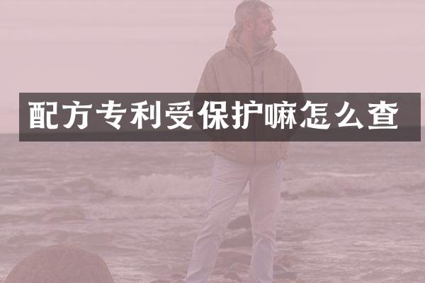 专利受保护嘛怎么查