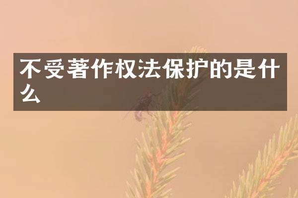 不受著作权法保护的是什么