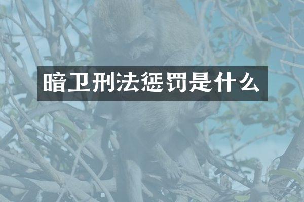 暗卫刑法惩罚是什么