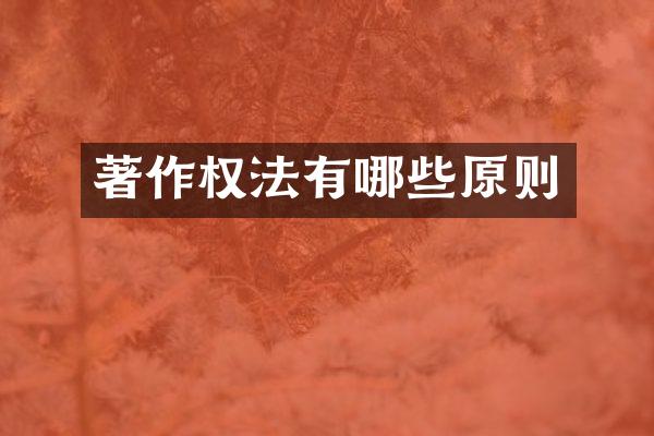 著作权法有哪些原则