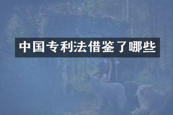 中国专利法借鉴了哪些