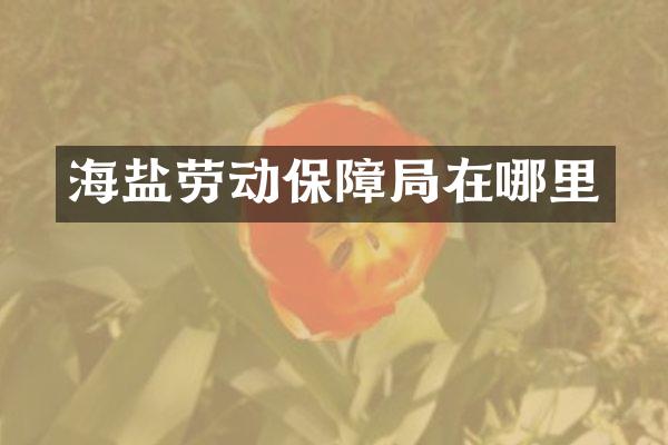 海盐劳动保障局在哪里
