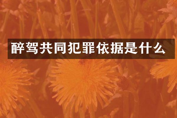 醉驾共同犯罪依据是什么