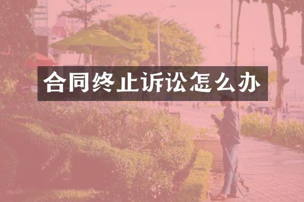 合同终止诉讼怎么办