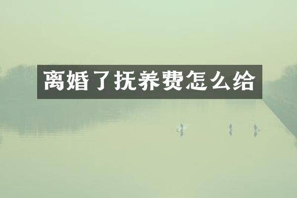 离婚了抚养费怎么给