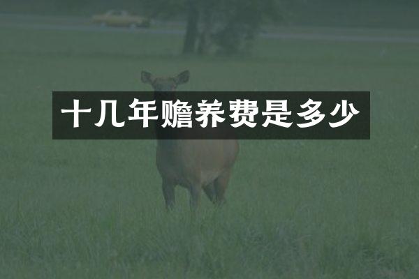 十几年赡养费是多少