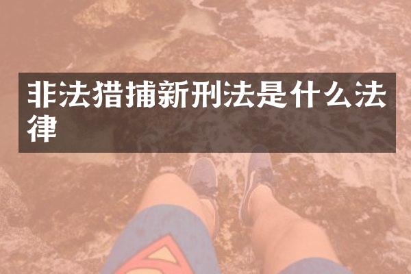 非法猎捕新刑法是什么法律