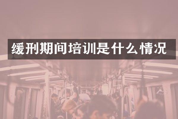 缓刑期间培训是什么情况
