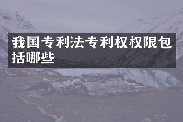 我国专利法专利权权限包括哪些