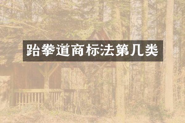 跆拳道商标法第几类