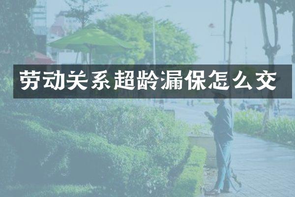 劳动关系超龄漏保怎么交