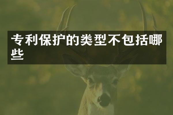 专利保护的类型不包括哪些