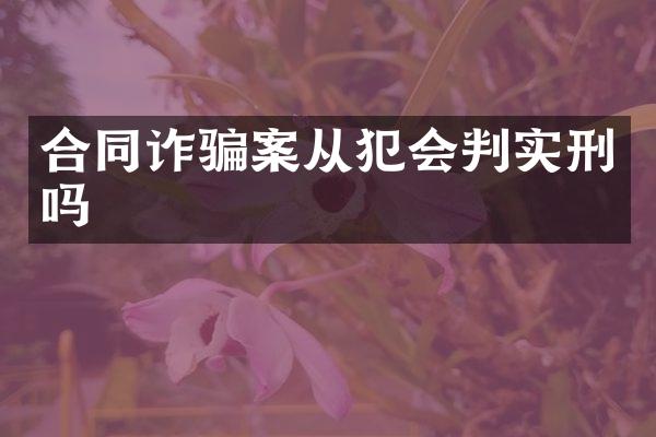 合同诈骗案从犯会判实刑吗