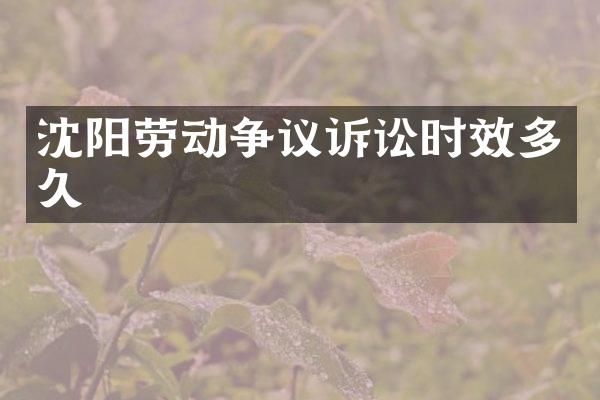 沈阳劳动争议诉讼时效多久